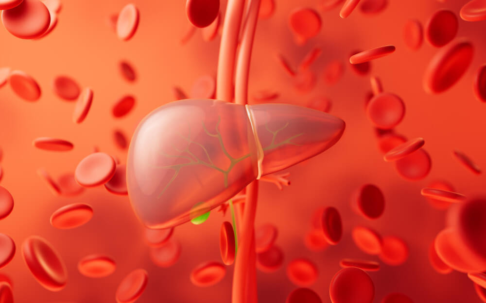 ไวรัสตับอักเสบ บี ติดต่อทางไหนได้บ้าง